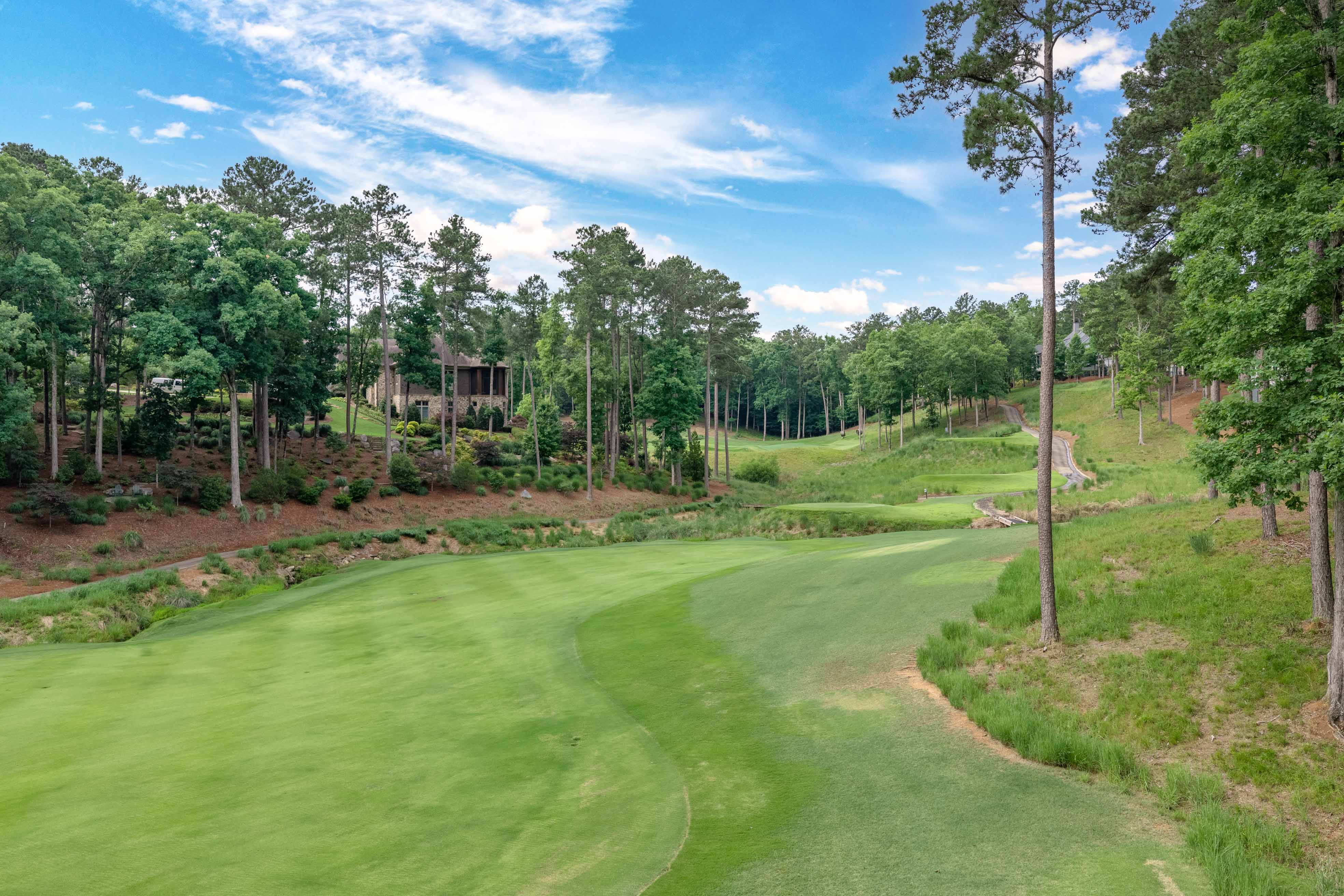 1050 Woodham Creek image 46